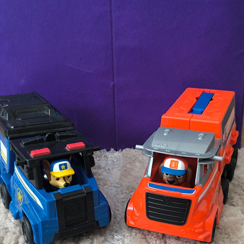 Paw patrol chase - paw,