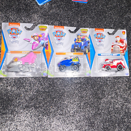 Spin master paw patrol - master,