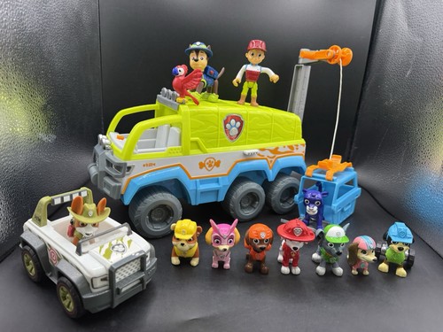 Paw patrol jungle - paw, terrain