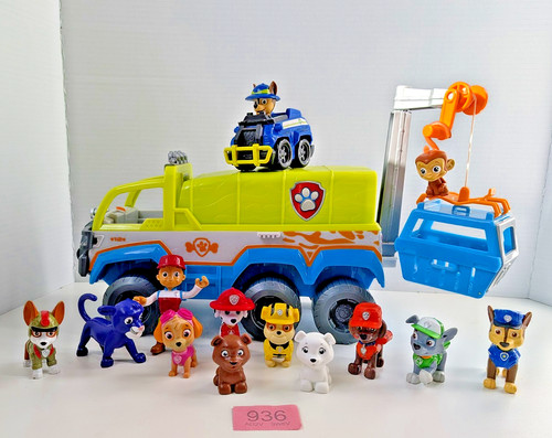 Paw patrol jungle - patrol, terrain