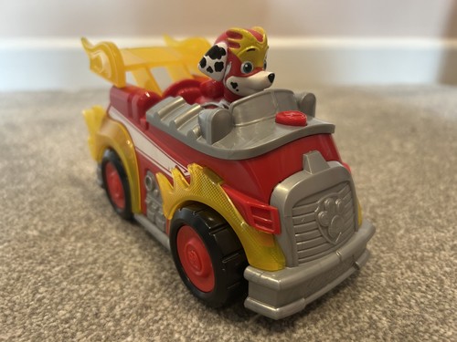Paw patrol mighty pups - pups, super